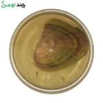 گردنبند مروارید عشق شناسنامه دار همراه با صدف مروارید دار - Image 6